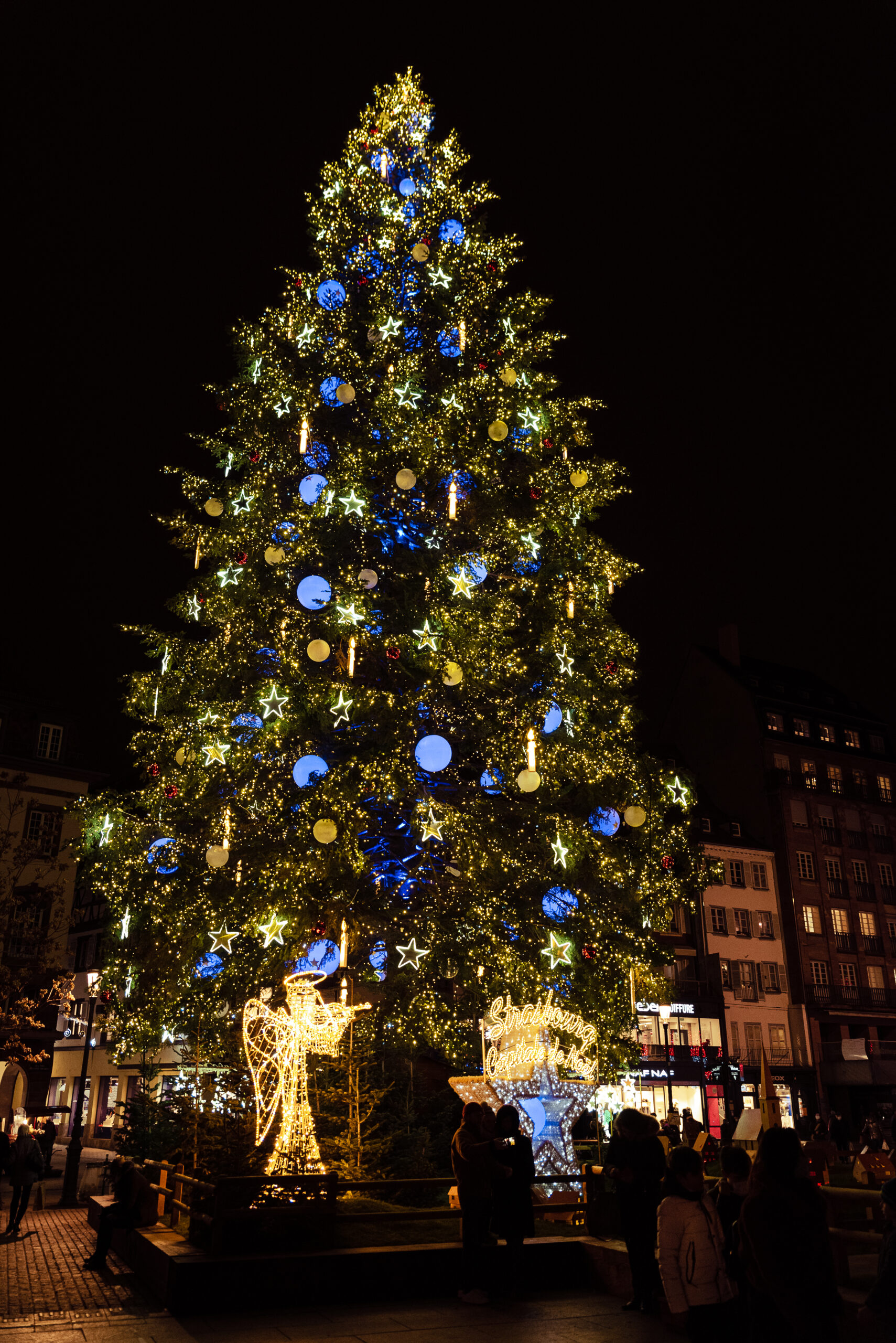 Le Sapin de Noël - Légendes.alsace